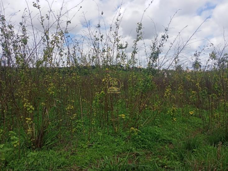 area-venda-area-entre-carmopolis-e-oliveira--1022406
