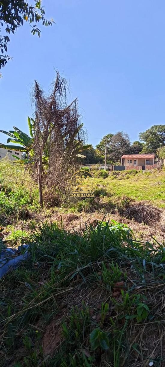lote-venda-bairro-pedra-branca-sao-joaquim-de-bicas--1126055