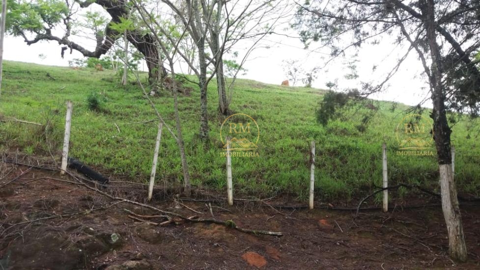 fazenda-venda-bairro-carmopolis-de-minas-mg--1052875