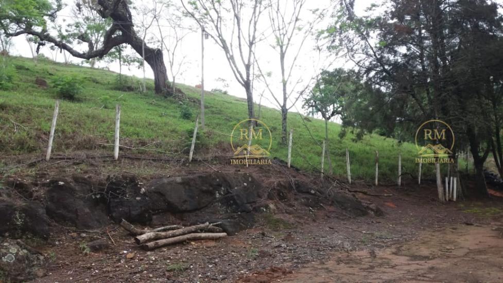 fazenda-venda-bairro-carmopolis-de-minas-mg--1052876